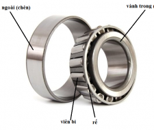 VÒNG BI BẠC ĐẠN CÔN