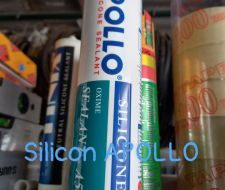 SILICON APOLLO