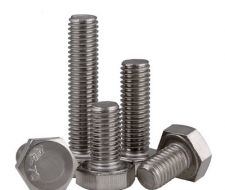 BULONG INOX 
