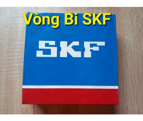 VÒNG BI SKF